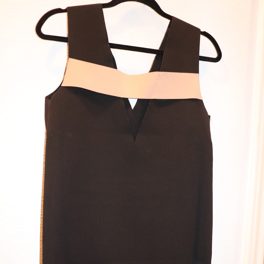 Forever21 Dress- Great for a Work Dress